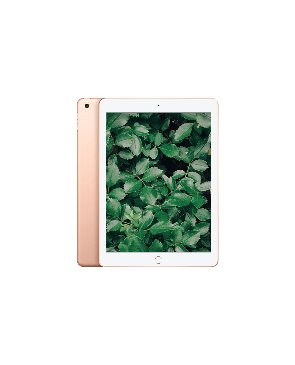 iPad 6 (2018) Wi-Fi Guld / 128GB / Okej skick från Apple.