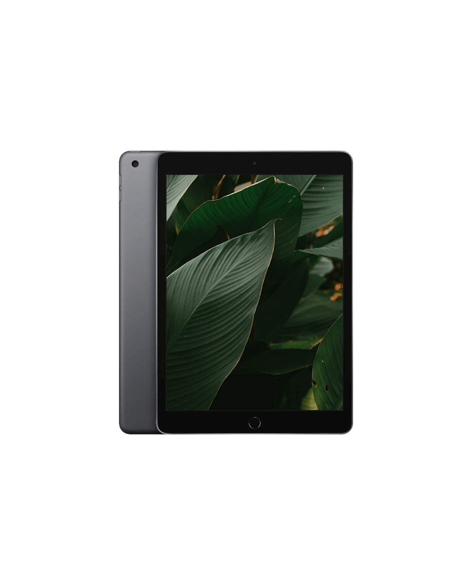 iPad 8 (2020) Wi-Fi + 4G Rymdgrå / 128GB / Okej skick från Apple.