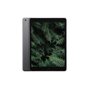 iPad 9 (2021) Wi-Fi Rymdgrå / 256GB / Okej skick från Apple.