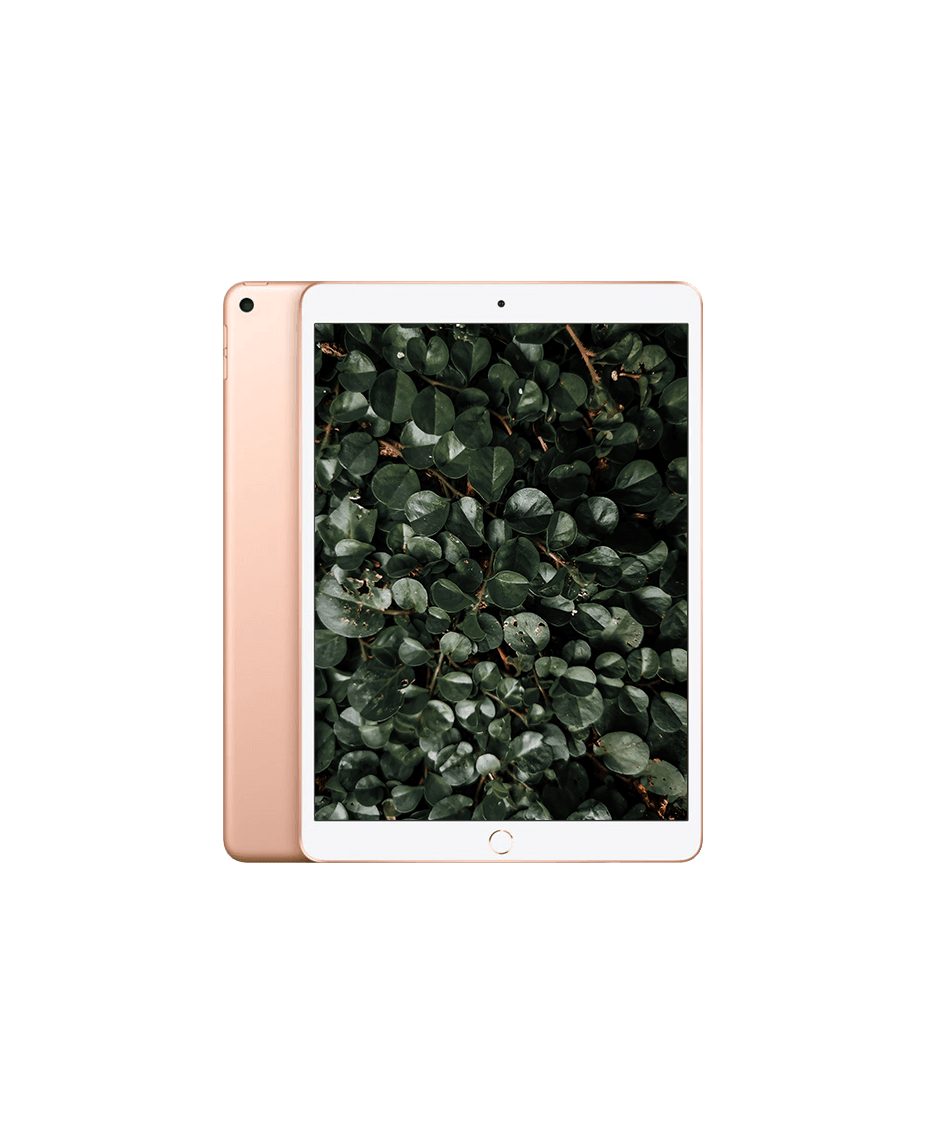 iPad Air 3 Wi-Fi + 4G Guld / 256GB / Okej skick från Apple.