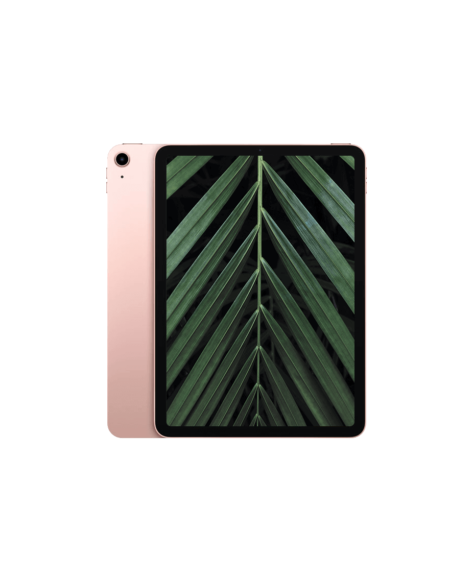 iPad Air 4 Wi-Fi + 4G Roseguld / 256GB / Okej skick från Apple.