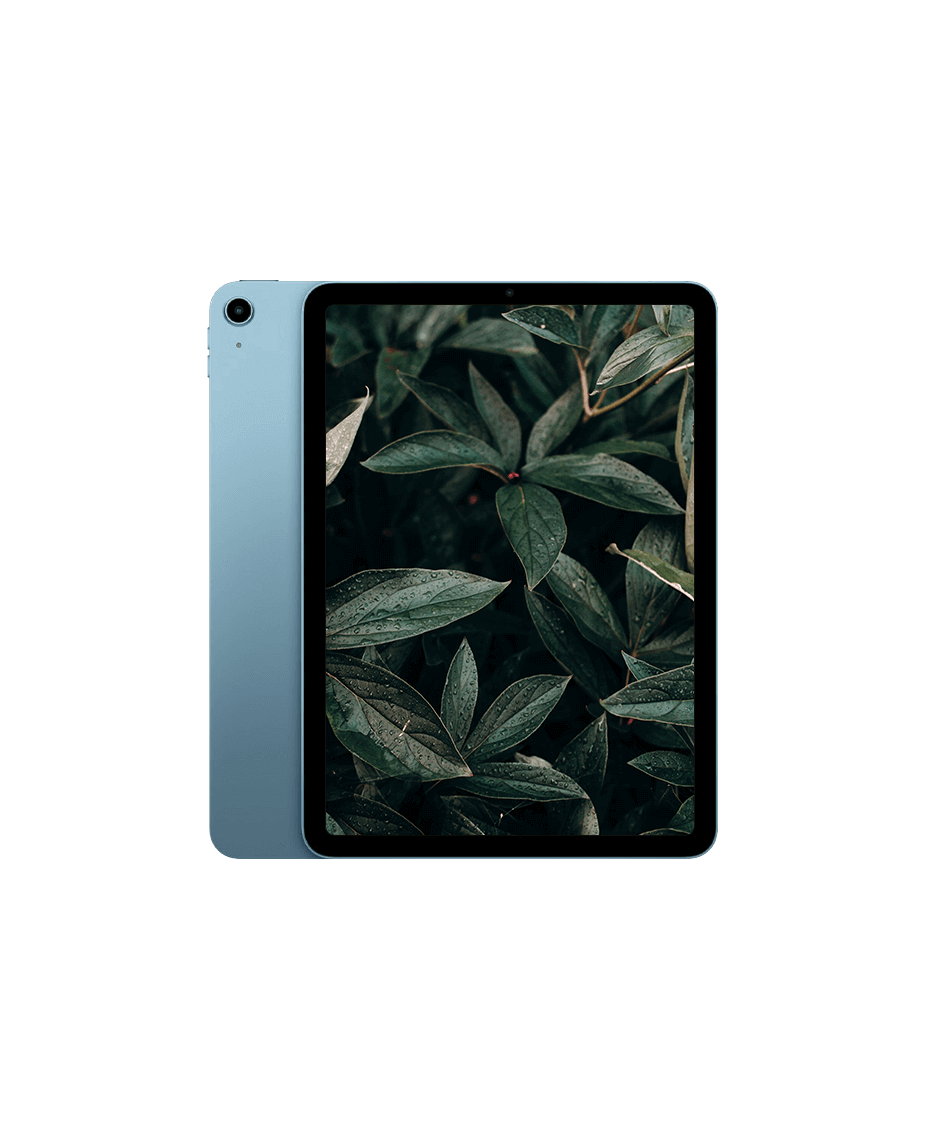 iPad Air 5 Wi-Fi + 5G Blå / 256GB / Okej skick från Apple.