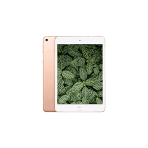 iPad Mini 5 (2019) Wi-Fi + 4G Guld / 256GB / Okej skick från Apple.