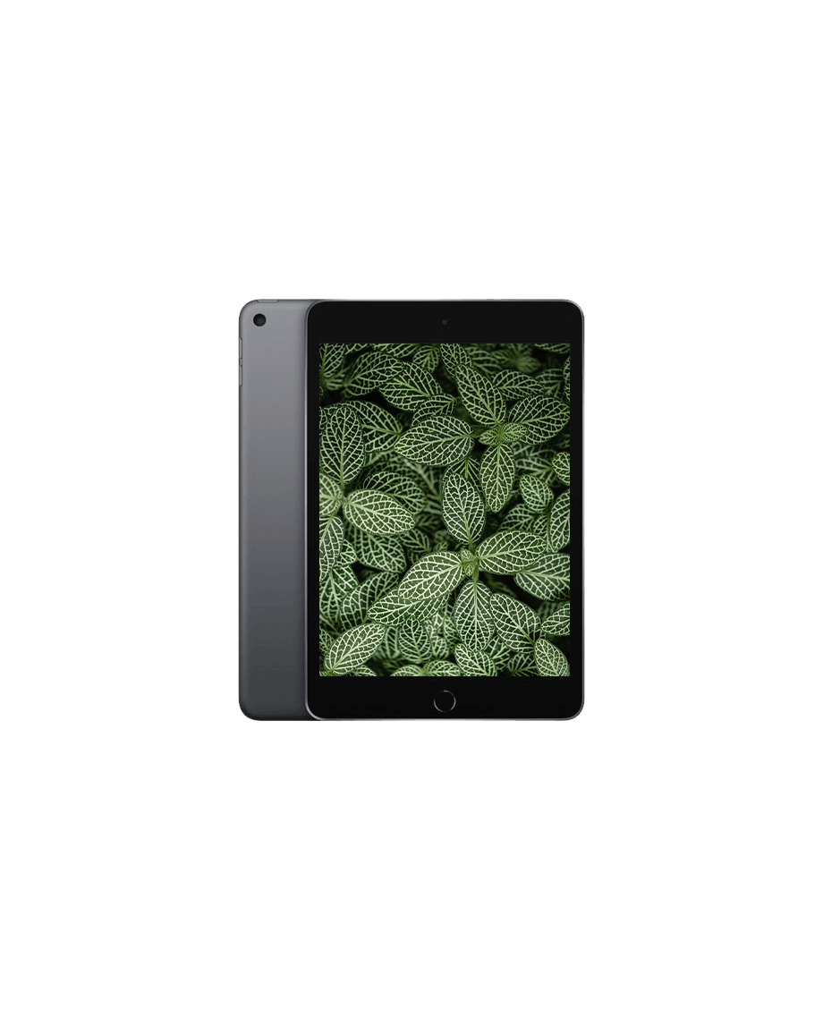 iPad Mini 5 (2019) Wi-Fi + 4G Rymdgrå / 256GB / Okej skick från Apple.