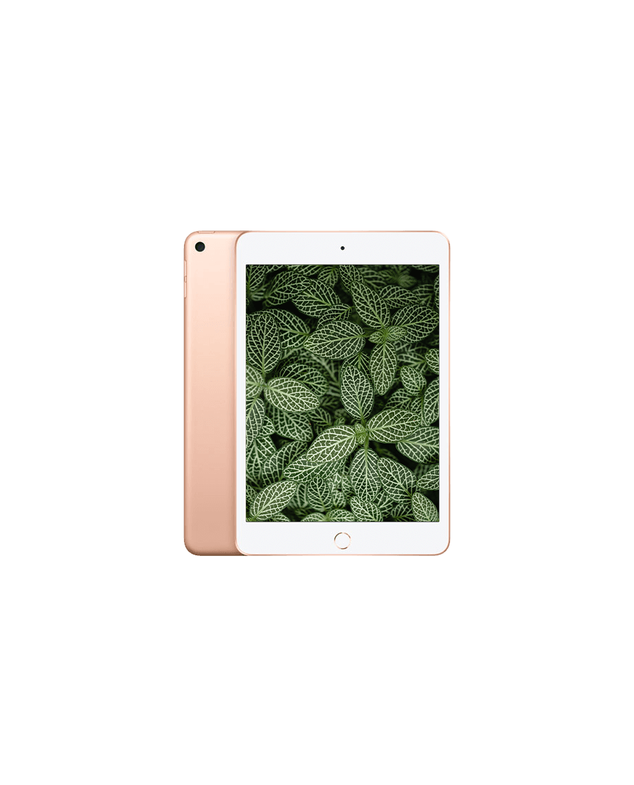 iPad Mini 5 (2019) Wi-Fi Guld / 256GB / Okej skick från Apple.