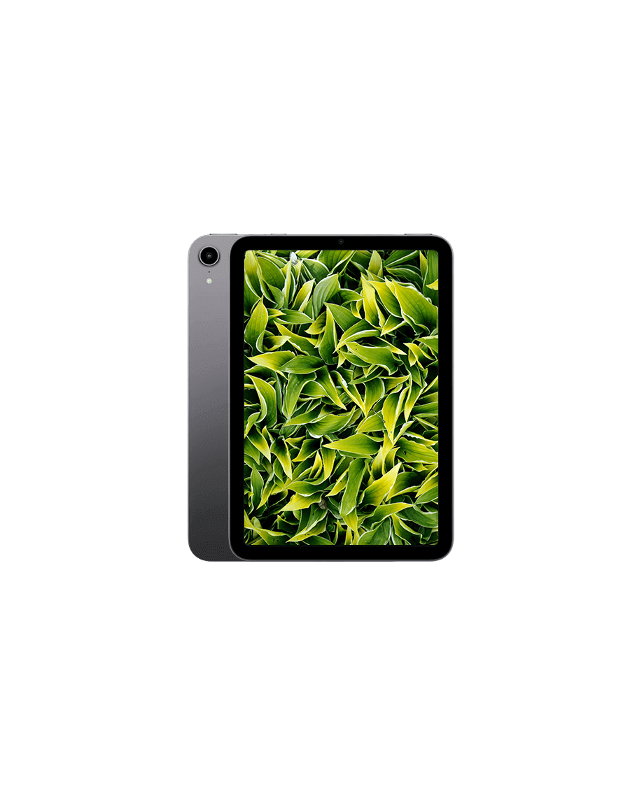 iPad Mini 6 (2021) Wi-Fi + 5G Rymdgrå / 256GB / Okej skick från Apple.