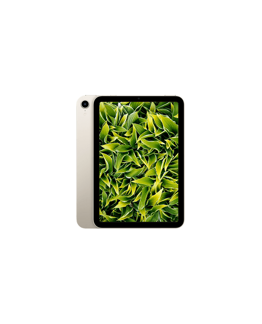 iPad Mini 6 (2021) Wi-Fi Stjärnglans / 256GB / Okej skick från Apple.