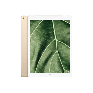 iPad Pro 1 (2015) 12.9" Wi-Fi + 4G Guld / 256GB / Okej skick från Apple.