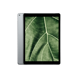 iPad Pro 1 (2015) 12.9" Wi-Fi Rymdgrå / 256GB / Okej skick från Apple.