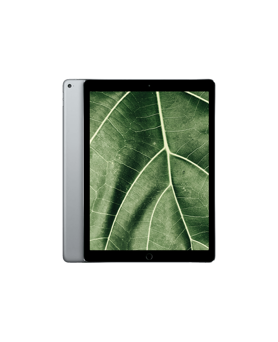 iPad Pro 1 (2015) 12.9" Wi-Fi Rymdgrå / 256GB / Okej skick från Apple.
