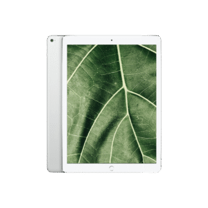 iPad Pro 1 (2015) 12.9" Wi-Fi Silver / 256GB / Okej skick från Apple.