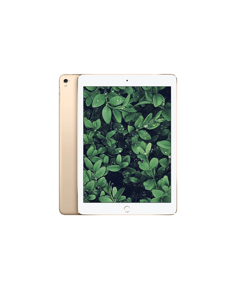 iPad Pro 1 (2016) 9.7" Wi-Fi + 4G Guld / 256GB / Okej skick från Apple.