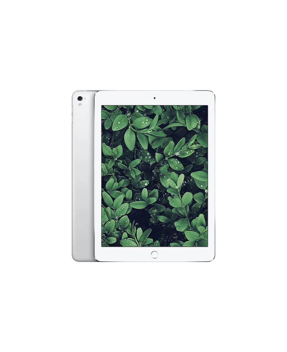 iPad Pro 1 (2016) 9.7" Wi-Fi Silver / 256GB / Okej skick från Apple.