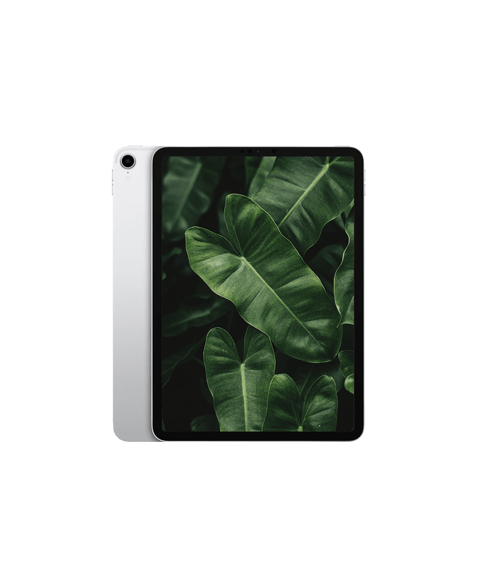 iPad Pro 1 (2018) 11" Wi-Fi + 4G Silver / 1TB / Okej skick från Apple.