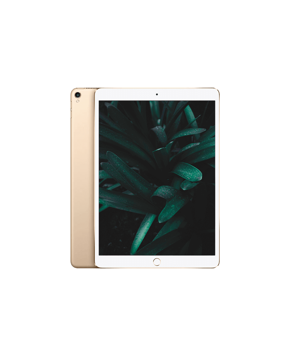 iPad Pro 2 (2017) 10.5" Wi-Fi Guld / 512GB / Okej skick från Apple.