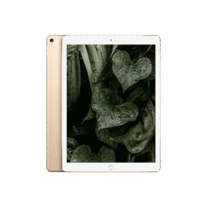 iPad Pro 2 (2017) 12.9" Wi-Fi + 4G Guld / 512GB / Okej skick från Apple.