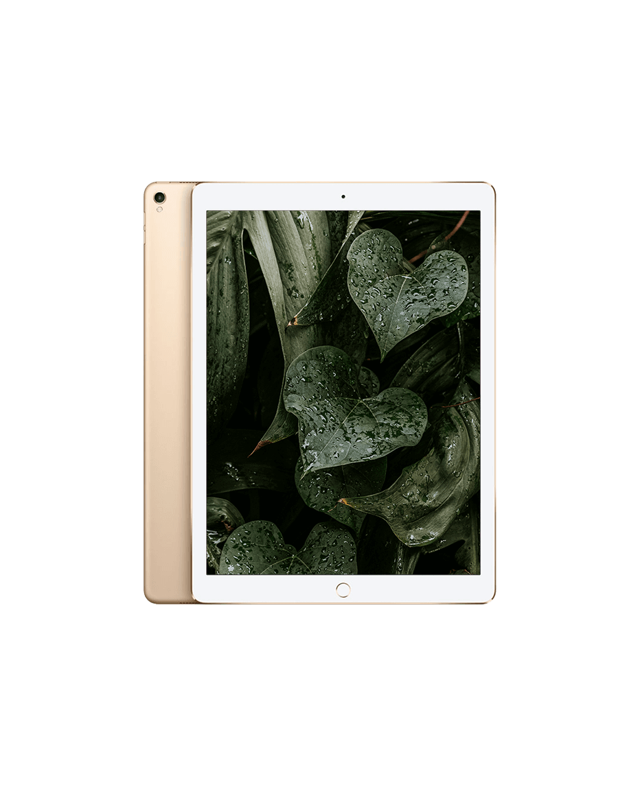 iPad Pro 2 (2017) 12.9" Wi-Fi + 4G Guld / 512GB / Okej skick från Apple.