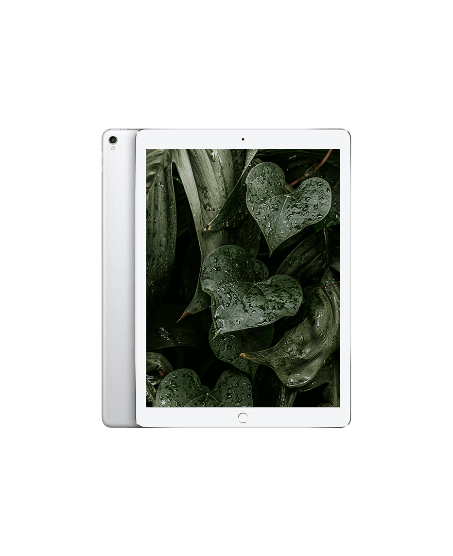 iPad Pro 2 (2017) 12.9" Wi-Fi + 4G Silver / 512GB / Okej skick från Apple.