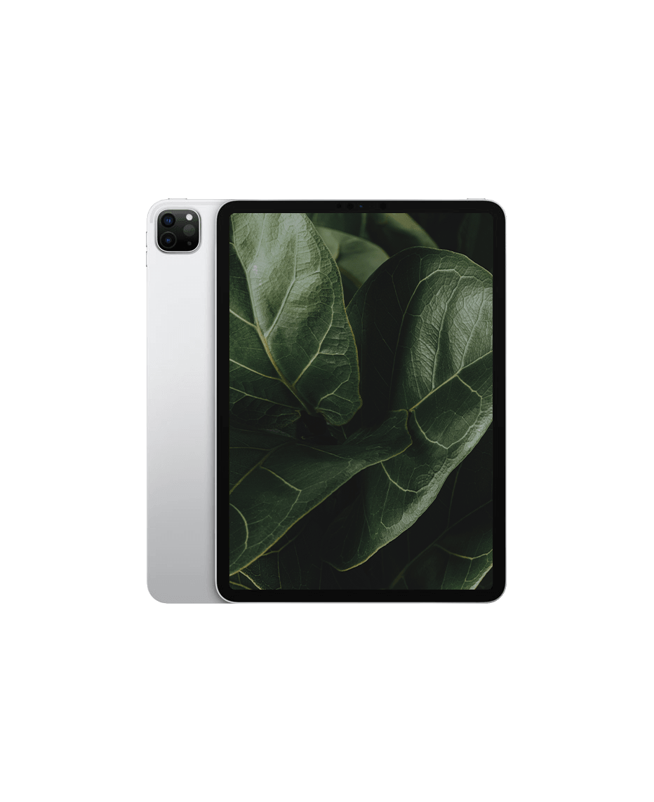 iPad Pro 2 (2020) 11" Wi-Fi Silver / 1TB / Okej skick från Apple.