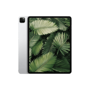 iPad Pro 4 (2020) 12.9" Wi-Fi + 4G Silver / 1TB / Okej skick från Apple.