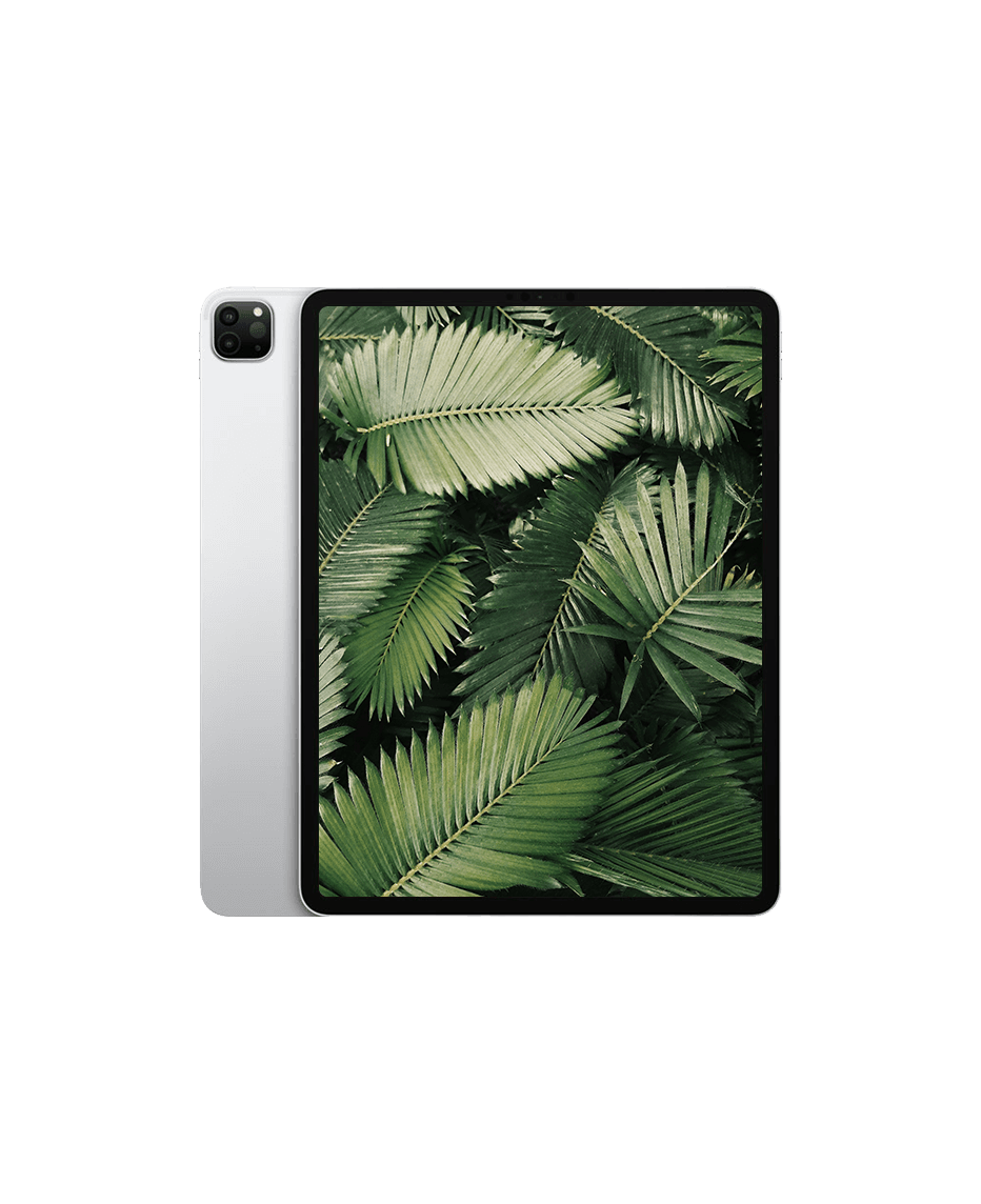 iPad Pro 4 (2020) 12.9" Wi-Fi Silver / 1TB / Okej skick från Apple.