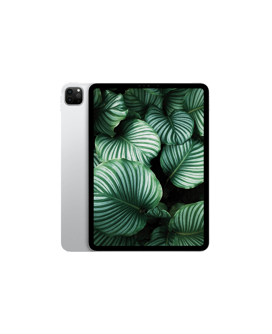 iPad Pro 4 (2022) 11" Wi-Fi + 5G Silver / 2TB / Okej skick från Apple.