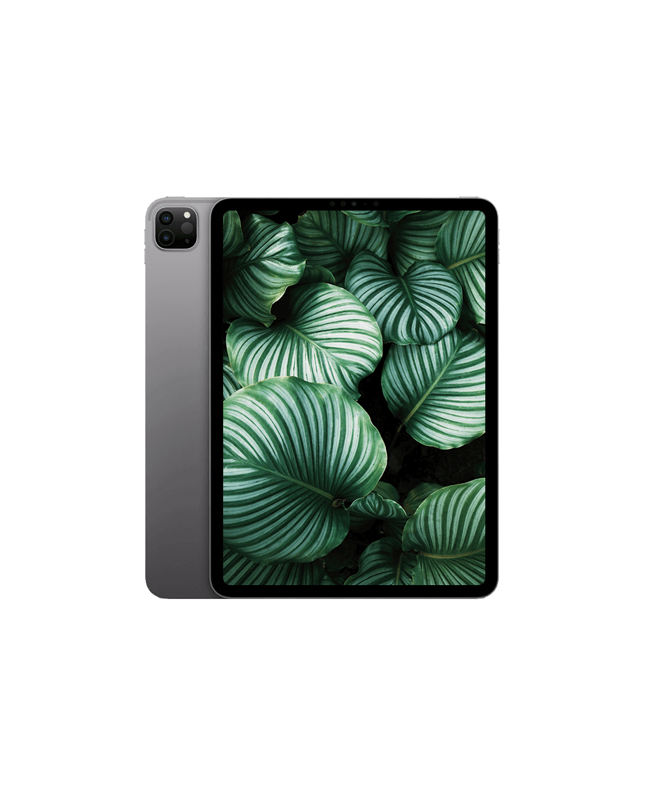 iPad Pro 4 (2022) 11" Wi-Fi Rymdgrå / 2TB / Okej skick från Apple.