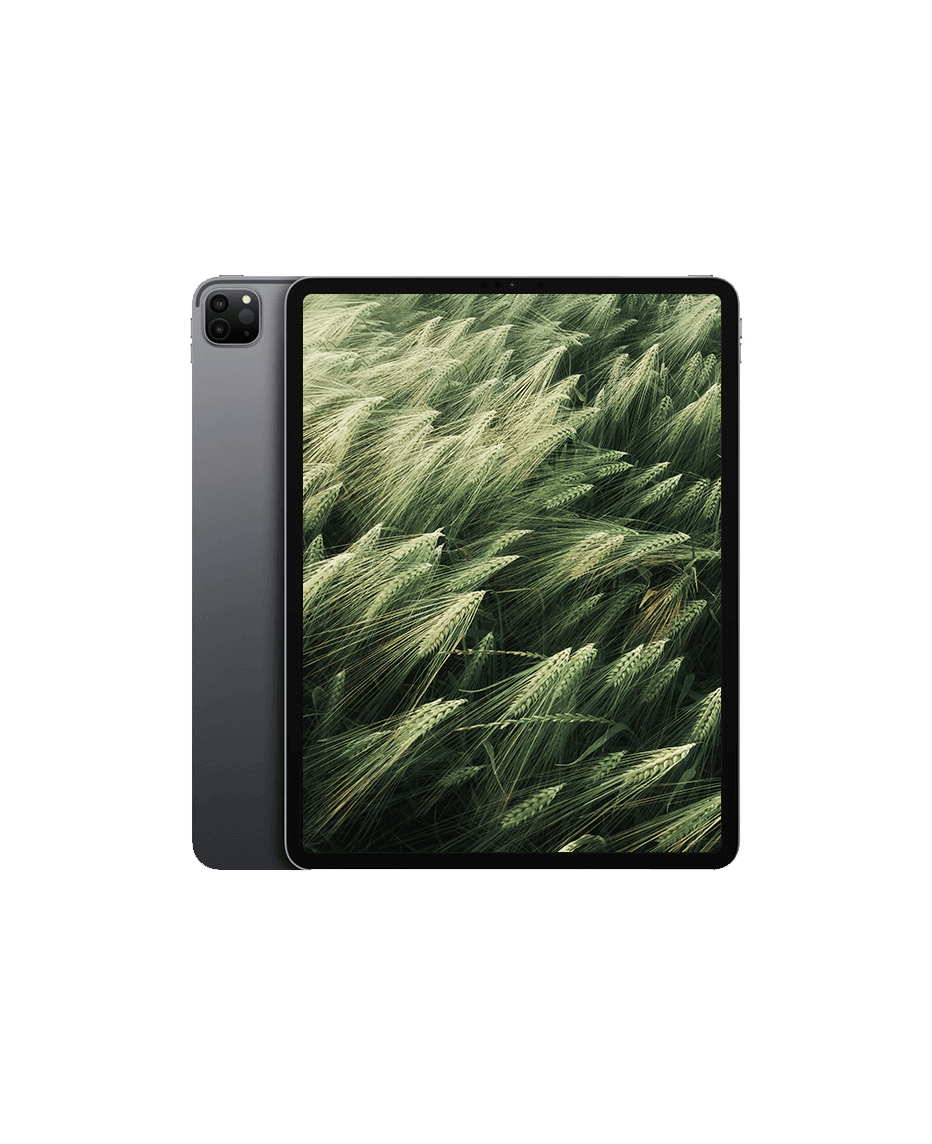 iPad Pro 5 (2021) 12.9" Wi-Fi + 5G Rymdgrå / 2TB / Okej skick från Apple.