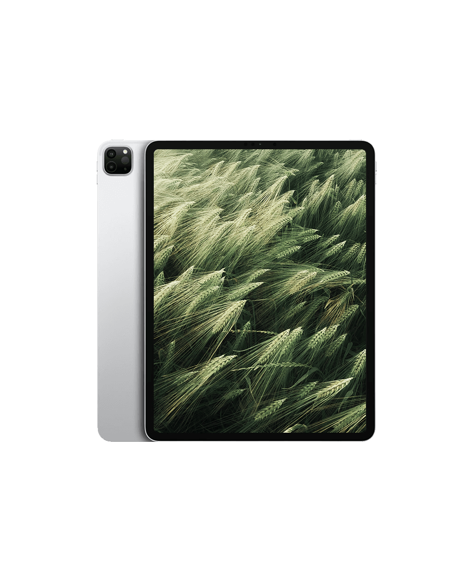 iPad Pro 5 (2021) 12.9" Wi-Fi Silver / 2TB / Okej skick från Apple.
