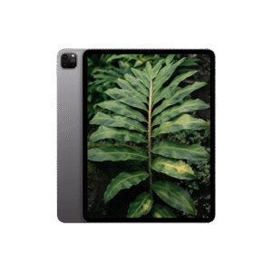 iPad Pro 6 (2022) 12.9" Wi-Fi + 5G Rymdgrå / 2TB / Okej skick från Apple.