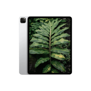 iPad Pro 6 (2022) 12.9" Wi-Fi + 5G Silver / 2TB / Okej skick från Apple.