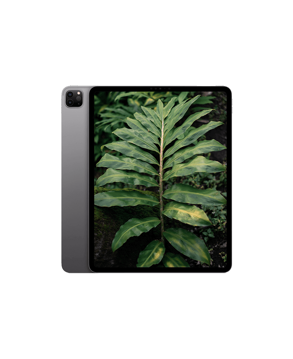 iPad Pro 6 (2022) 12.9" Wi-Fi Rymdgrå / 2TB / Okej skick från Apple.