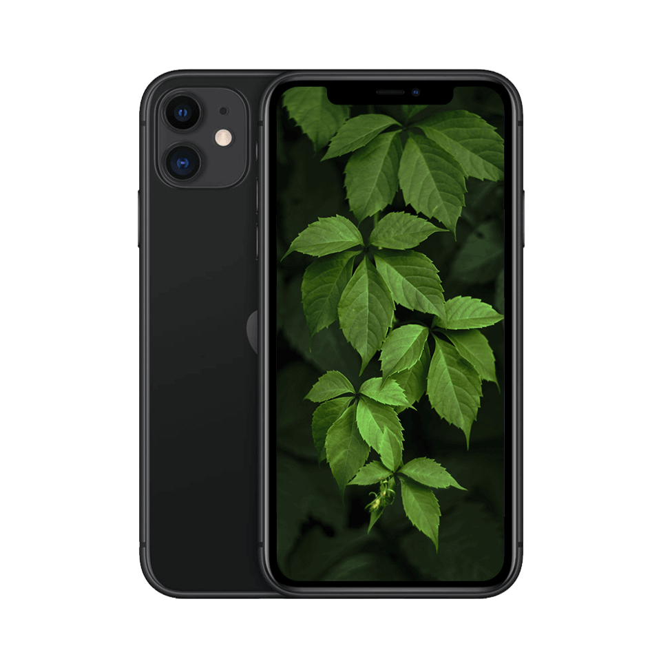 iPhone 11 Svart / 256GB / Nyskick från Apple.