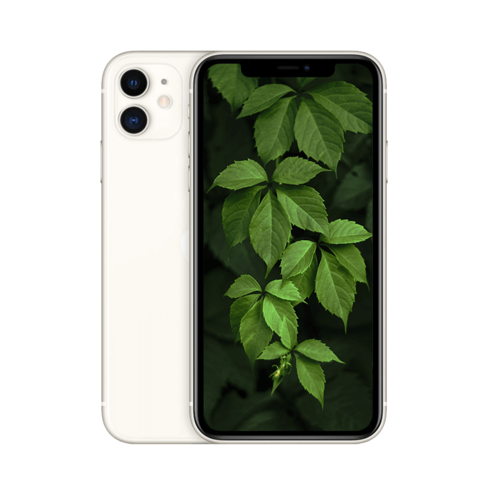 iPhone 11 Vit / 256GB / Nyskick från Apple.