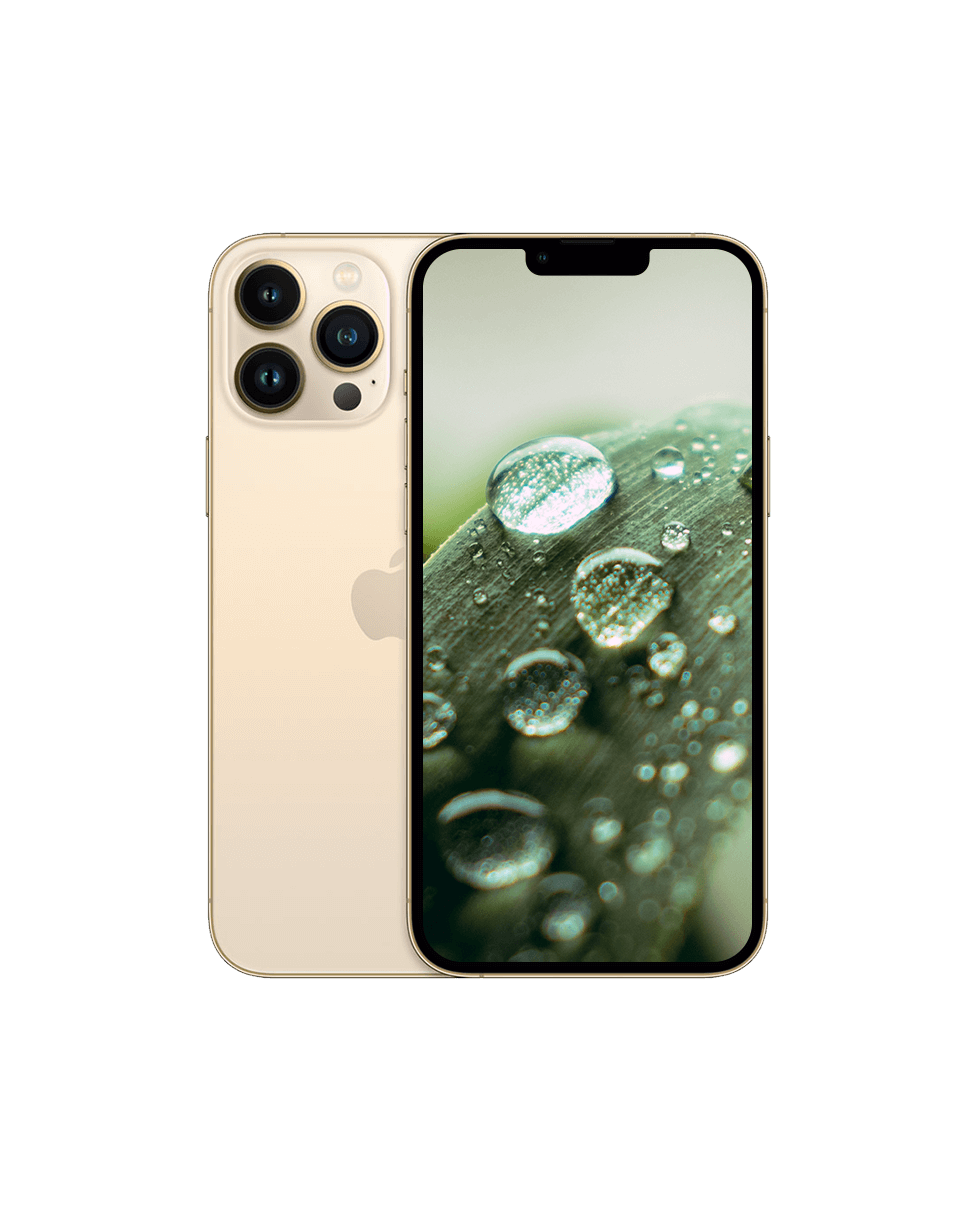 iPhone 13 Pro Guld / 1024GB / Okej skick från Apple.