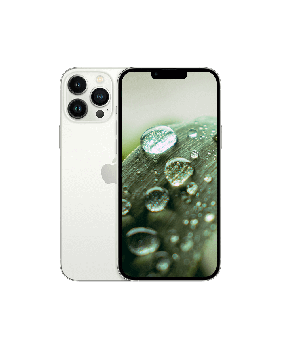iPhone 13 Pro Silver / 1024GB / Okej skick från Apple.