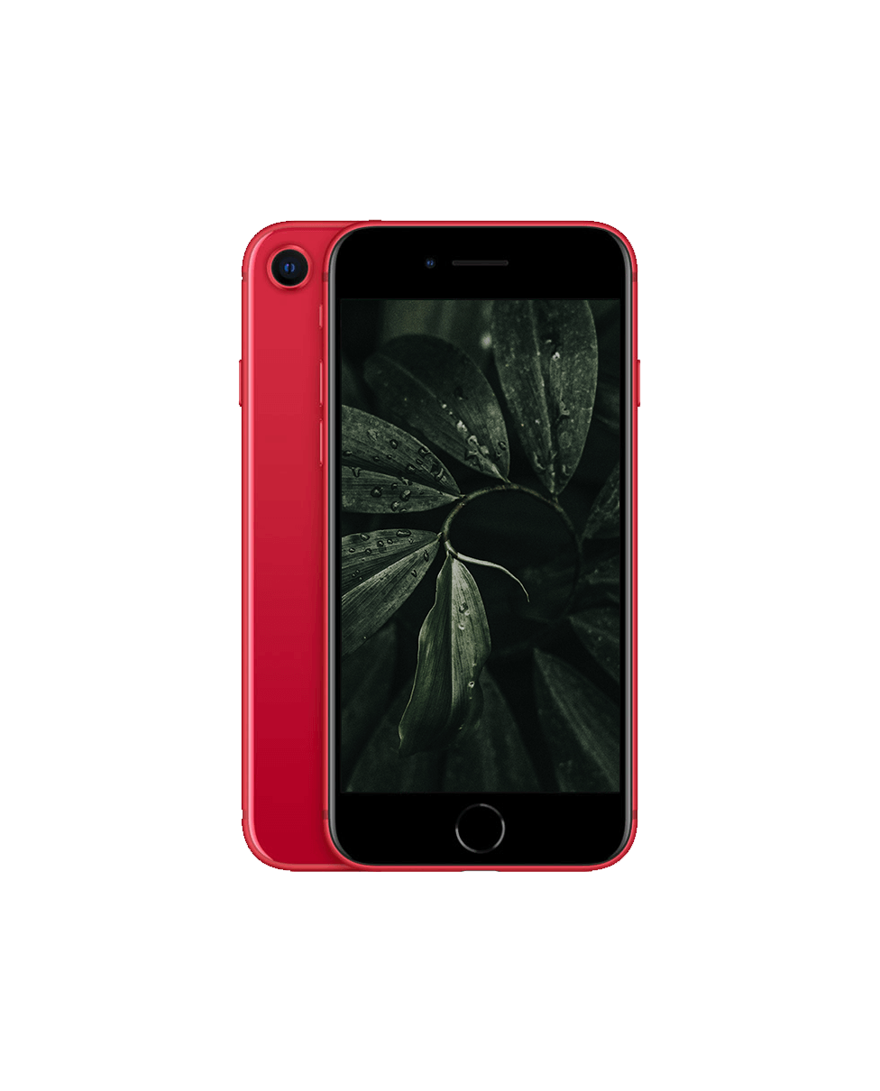 iPhone SE 2020 (2nd Gen) Röd / 256GB / Okej skick från Apple.