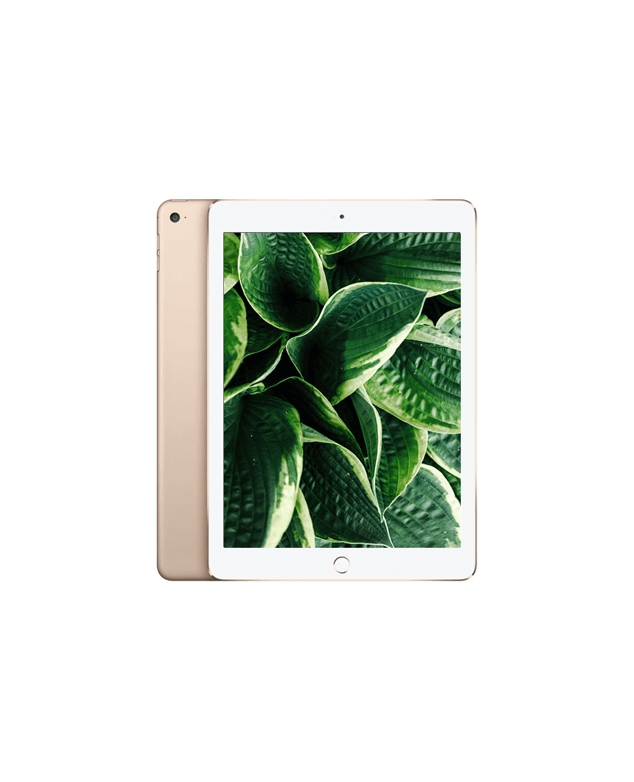 iPad Air 2 (2014) Wi-Fi + 4G Guld / 64GB / Okej skick från Apple.