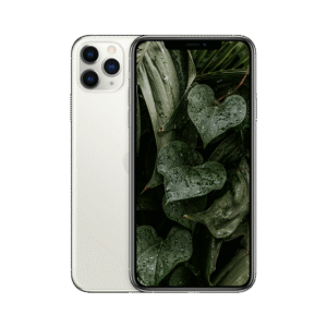 iPhone 11 Pro Max Silver / 256GB / Okej skick