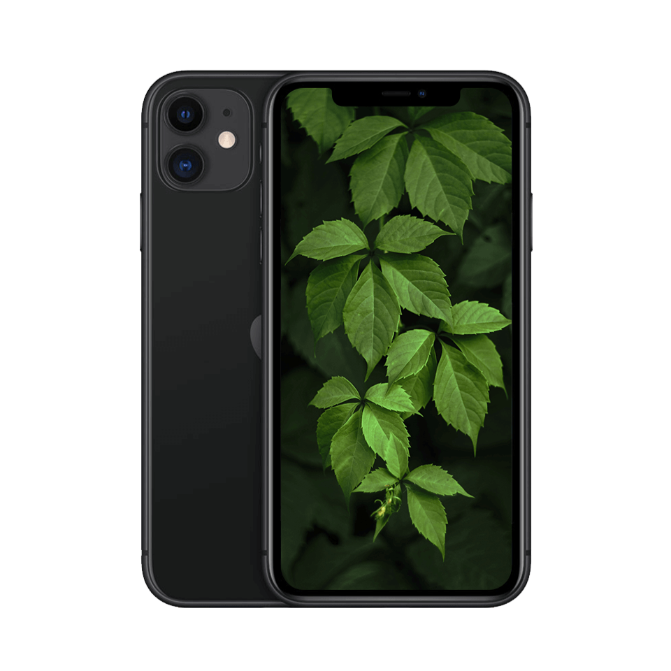 iPhone 11 Svart / 256GB / Nyskick från Apple.