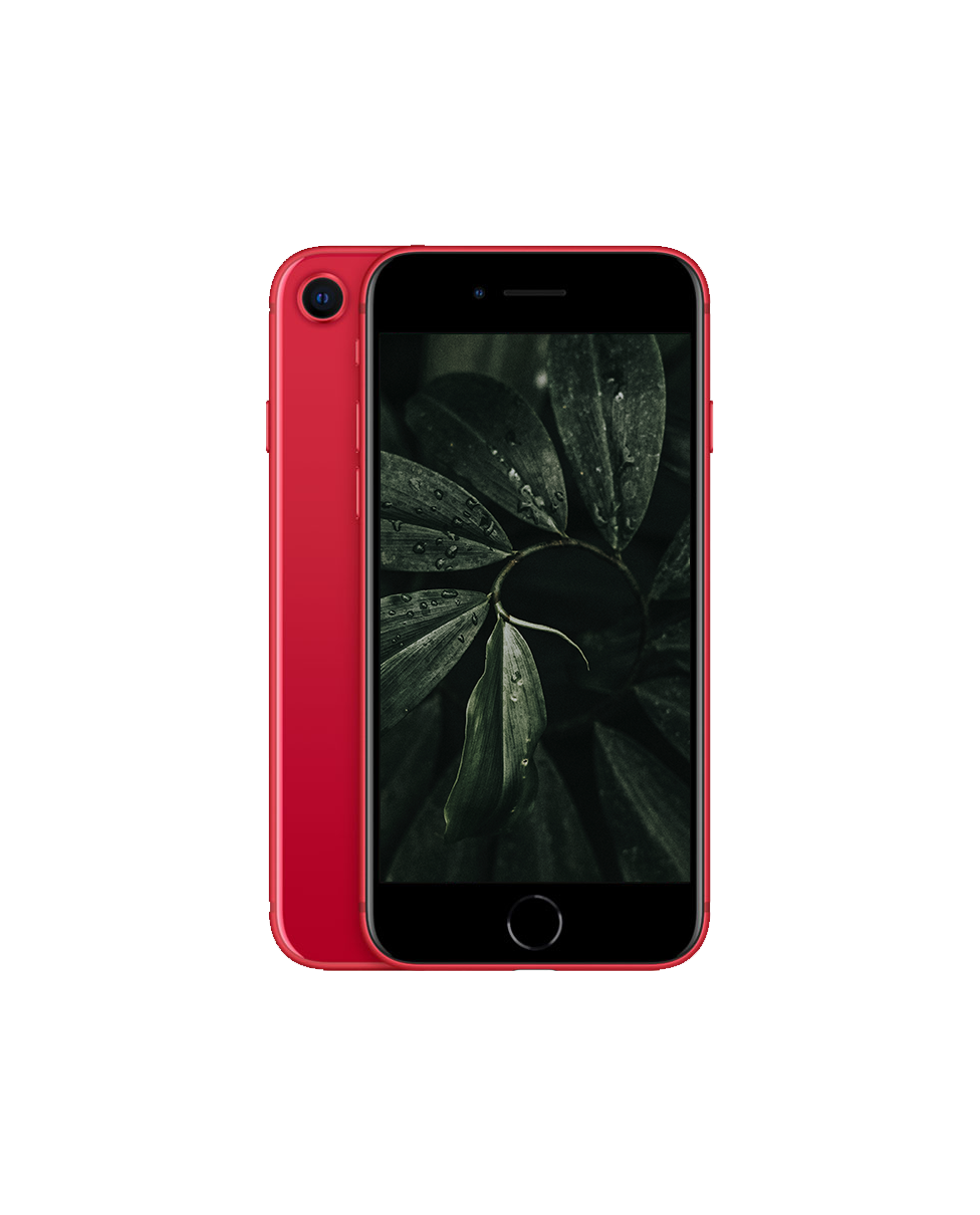 iPhone SE 2020 (2nd Gen) Röd / 256GB / Nyskick från Apple.