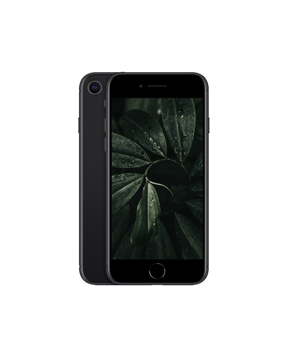 iPhone SE 2020 (2nd Gen) Svart / 256GB / Nyskick från Apple.